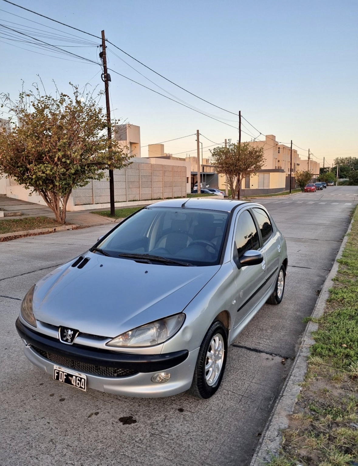 Peugeot 206 X-Design 1.9 - Foto 1